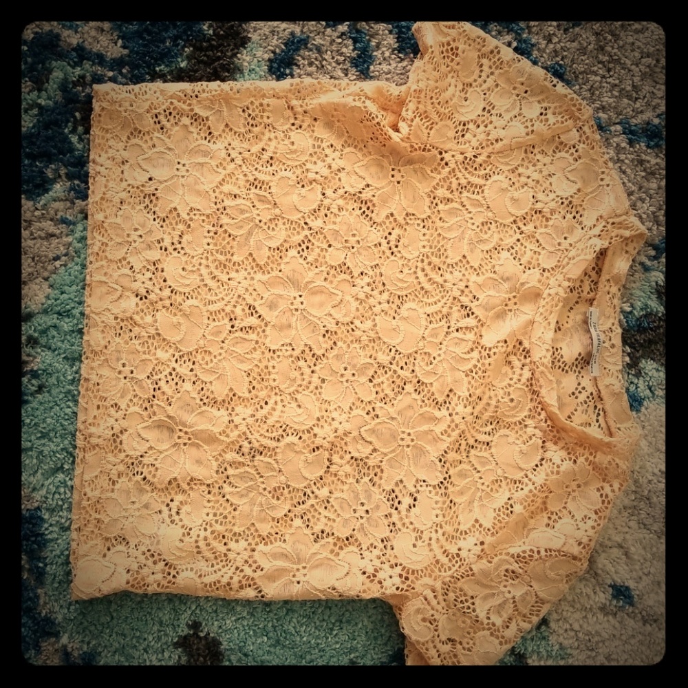 Zara lace crop top